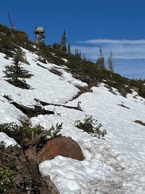 Black Butte