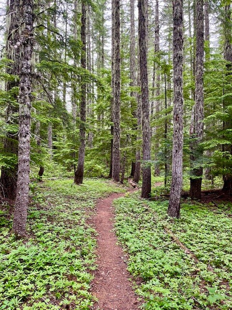 Browder Ridge