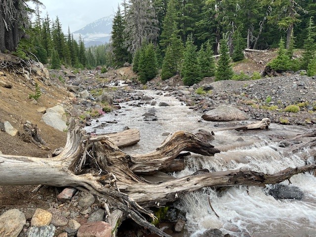 Camp Lake