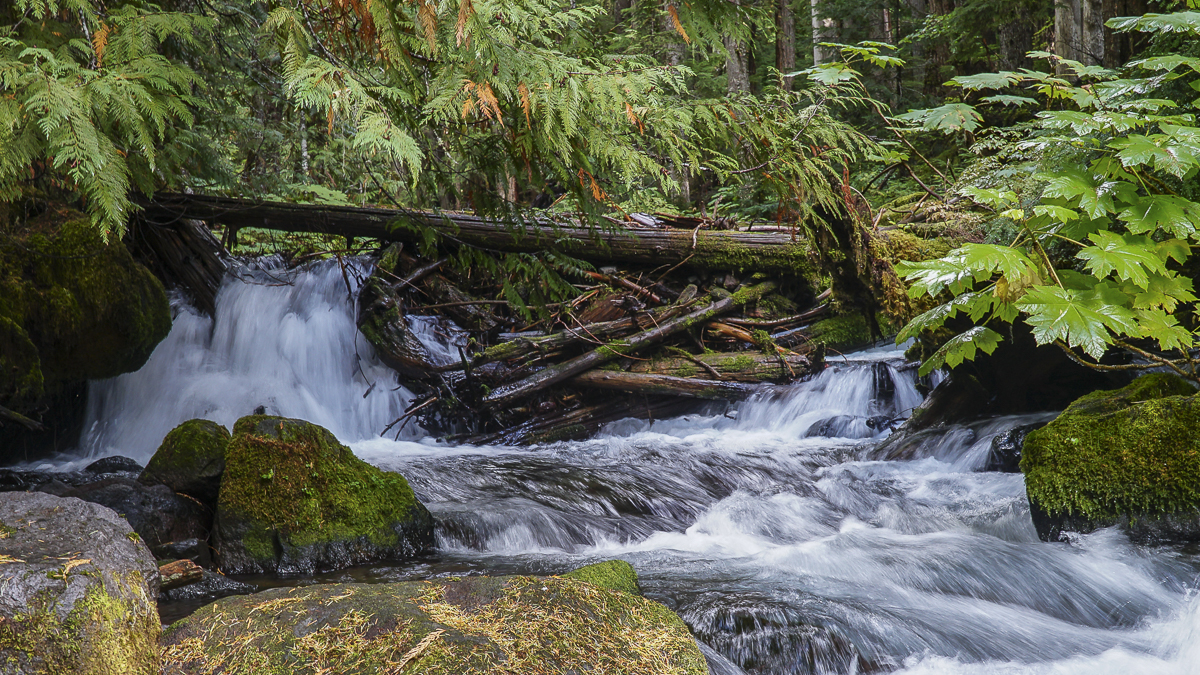 Pamelia Creek